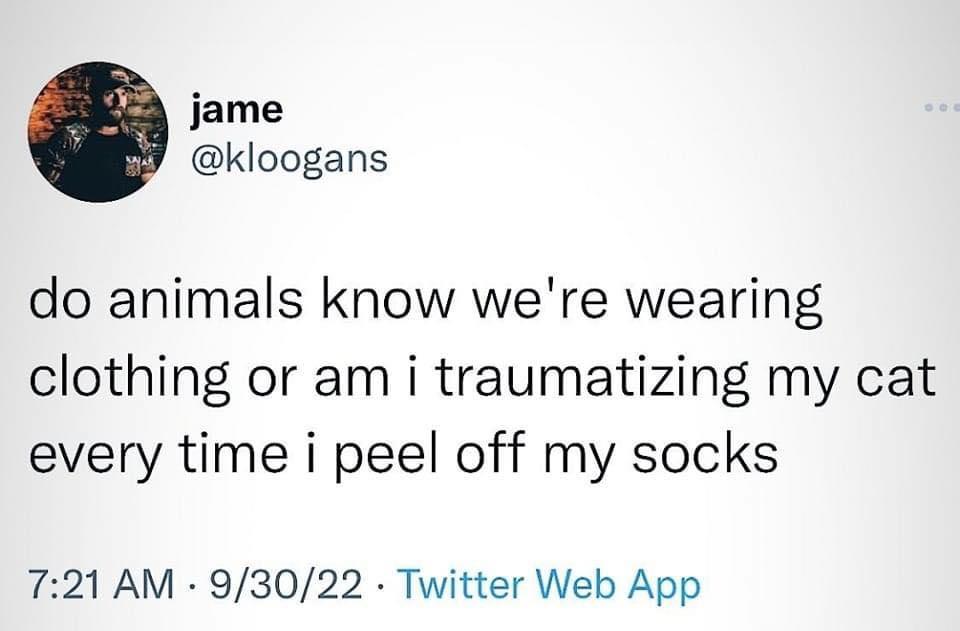 Naked human - do cats know?