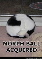 Morph ball
