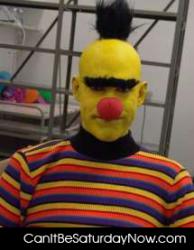 Bert man