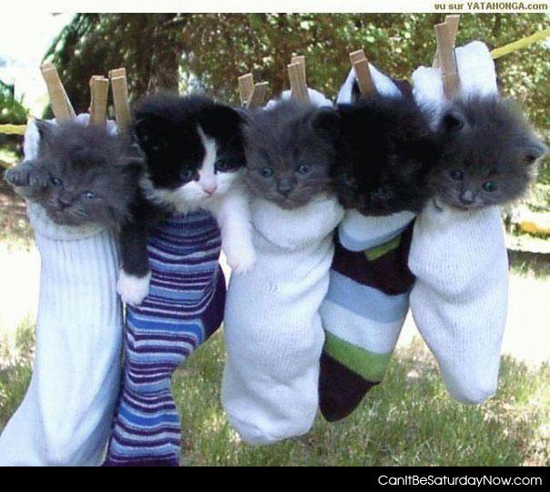 Dry socks - they help keep my socks dry