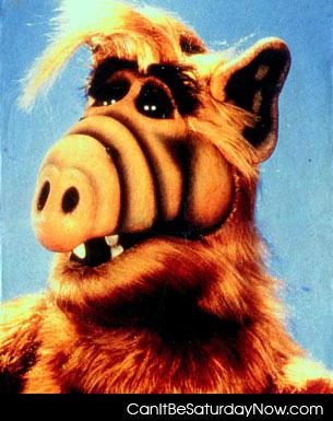 Alf 2 - who remembers alf?