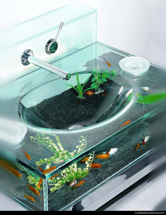 Water in your sink - is it a sink with fish or a fish tank with a sink?