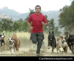 Ceasar milan runs