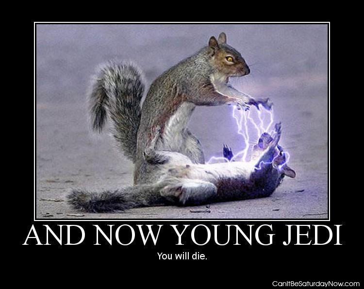 Jedi kill squirrel - jedi powers sued to kill a squirrel