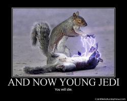 Jedi kill squirrel