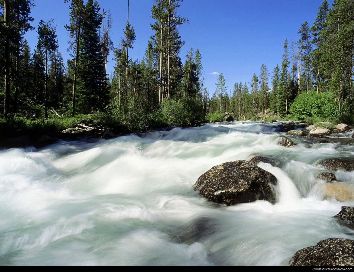 Fast river - rapids on a river
