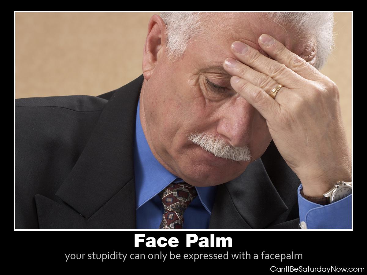 Face palm guy - your stupid