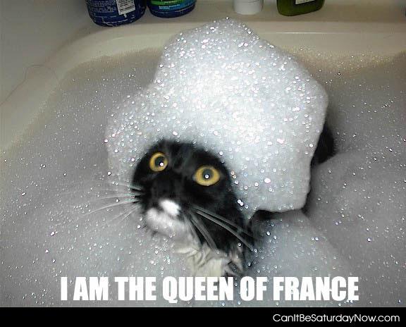 Kitty queen - kitty is the queen of France