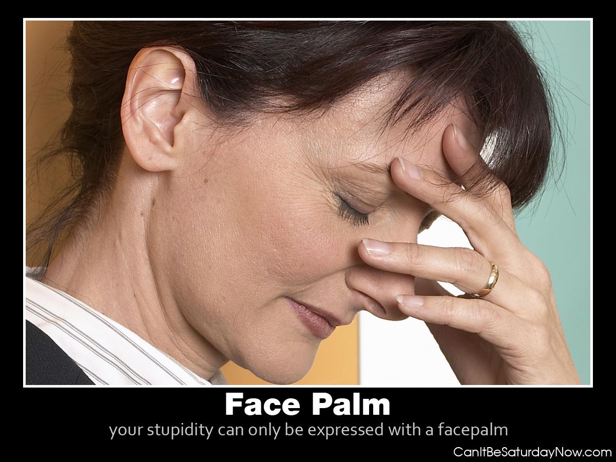 Face palm lady - your stupid