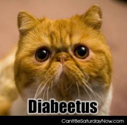 Diabetes kitty