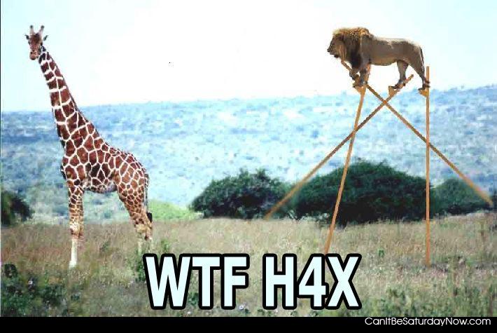 H4x - OMG HAX!!!