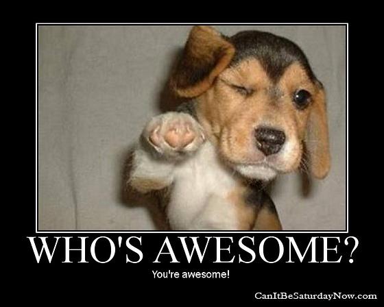 Whos awesome - you're awesome