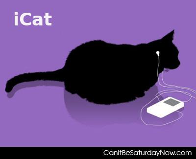 Icat - now you can sit and do nothing with music