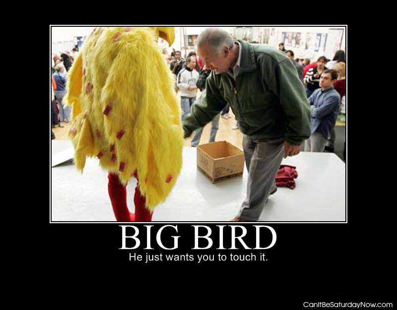 Big bird touch - come on just touch it