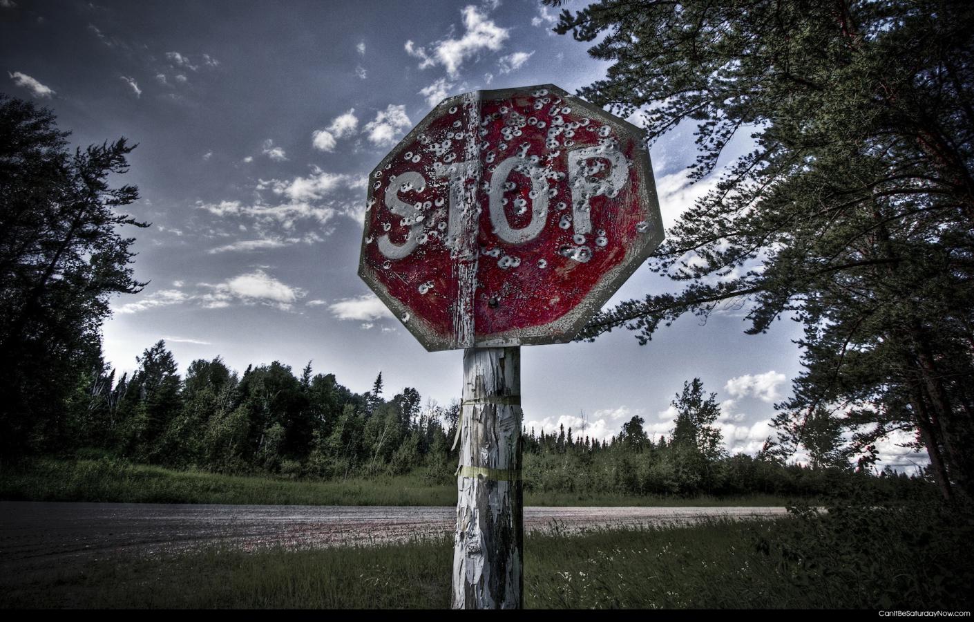 Shot stop sign - people like to shoot stop signs