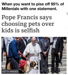 pets > kids