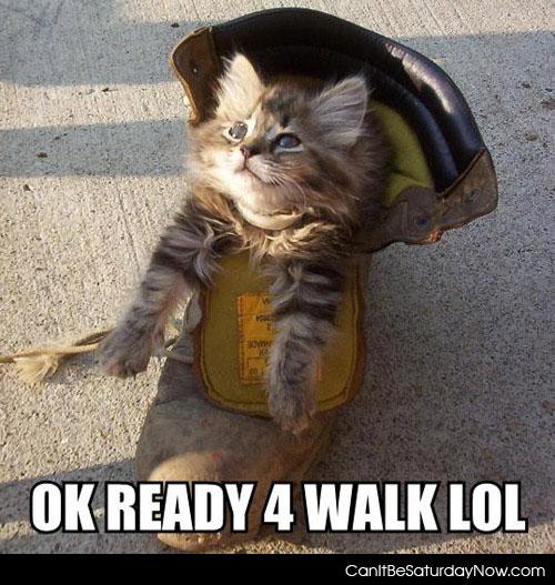 Walking boots - this kitty has its walking boots on