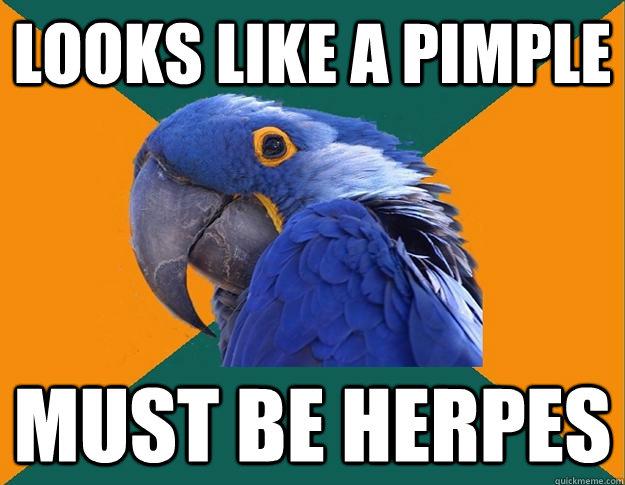 Looks like a pimple - Looks like a pimple, must be herpes