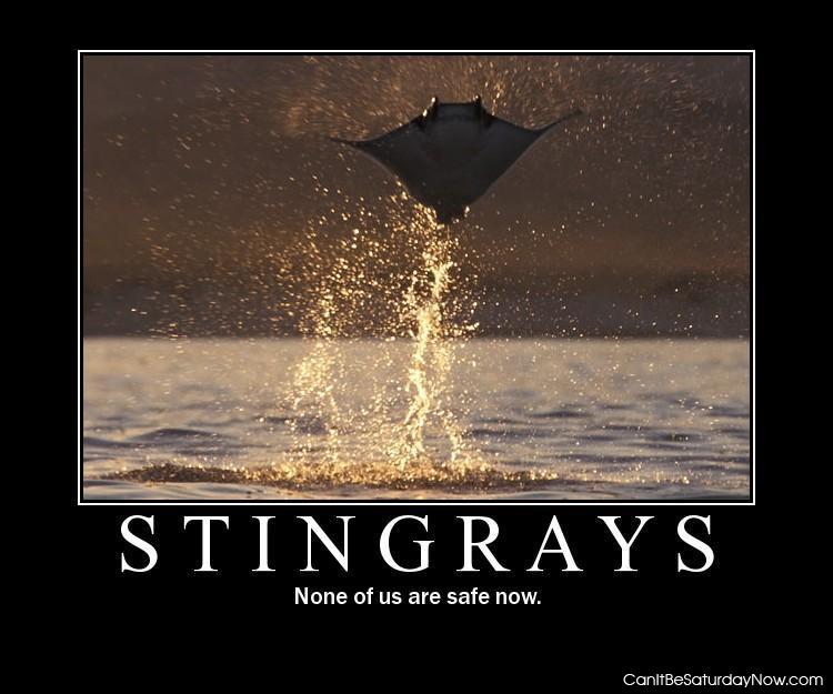 Stingrays - none of us are safe now