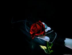 Her rose