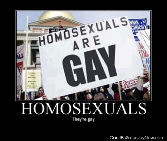 Gay homo - homosexuals are gay
