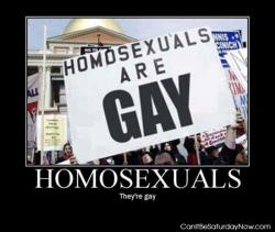 Gay homo