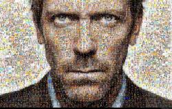 House face