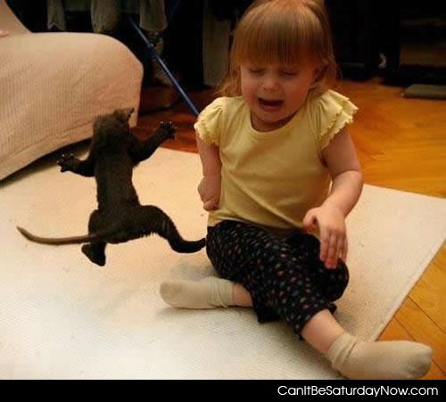 Kitty scare kid - poor kid is afraid of the kitty