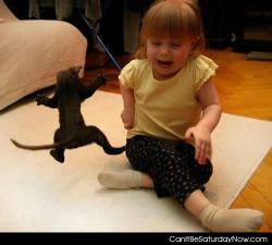 Kitty scare kid