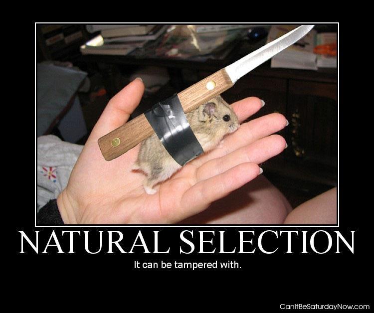 Natural selection - lets tamper with it