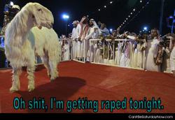 Goat rape