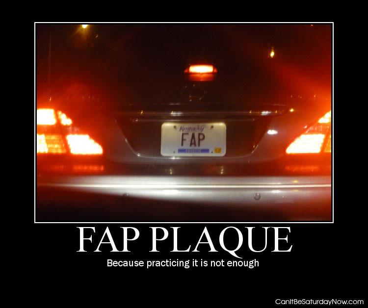 Fap plate - cop : yes I am pulling over fap...