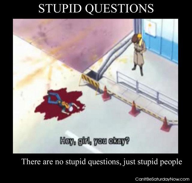 Stupid questions - just don't ask them OK?