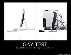 Gay test 2