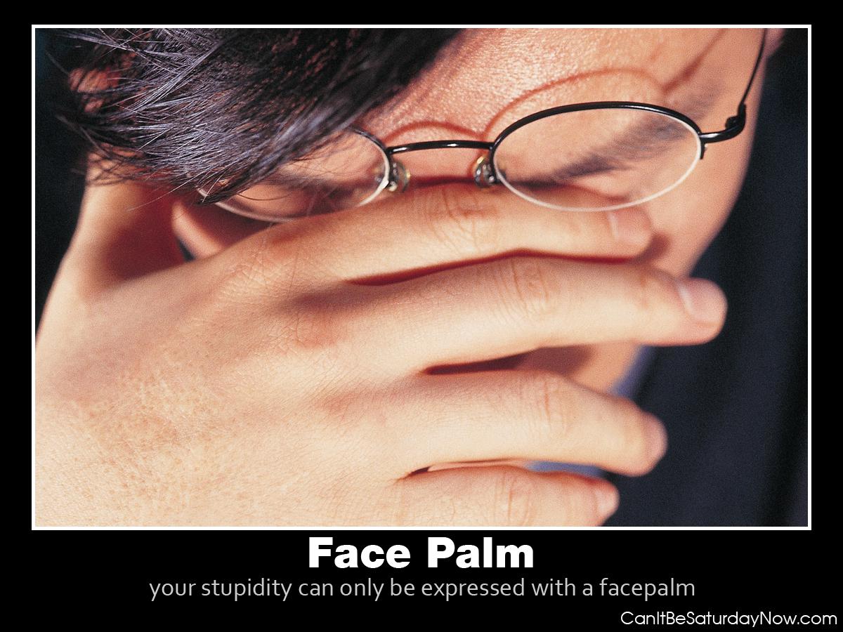 Face palm Asian - if this Asian man thinks your stupid