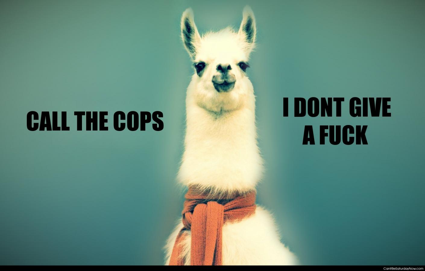Call the cops - Calls the cops because this lama don't give a fuck