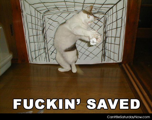 Cat save - cat stops a goal
