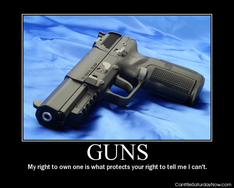 Guns protect - bang bang you're dead