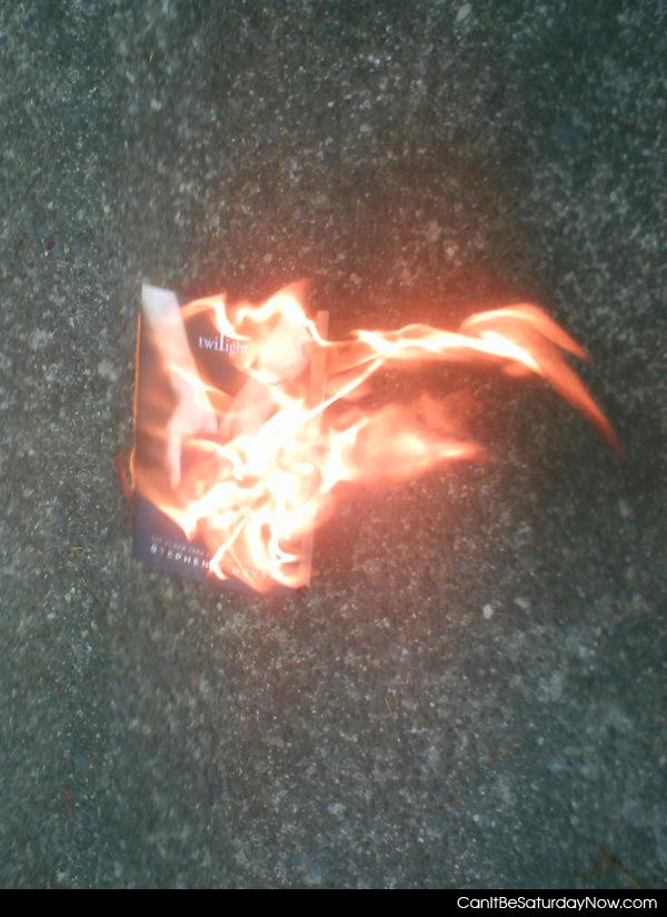 Burn twilight - Burning of a copy of the Twilight book