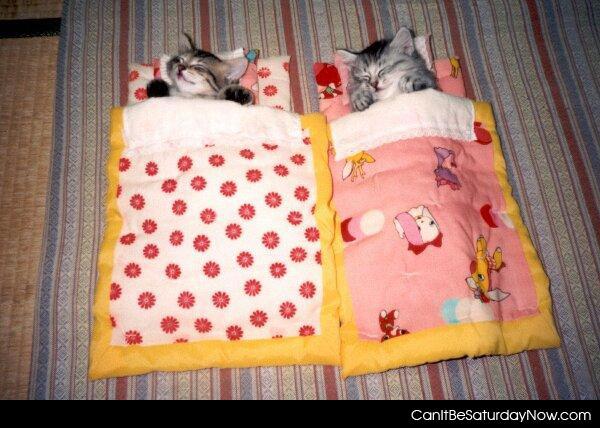 Kitty bag - kitty sleeping bags