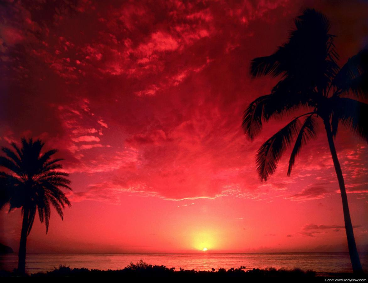 Red sunset - a very red sunset
