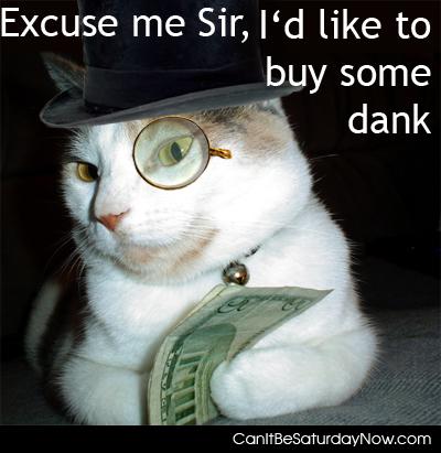 Buy dank - cat wants to buy some dank