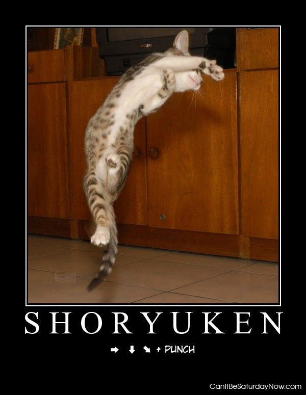 Shoryuken - right, down, right-down punch!