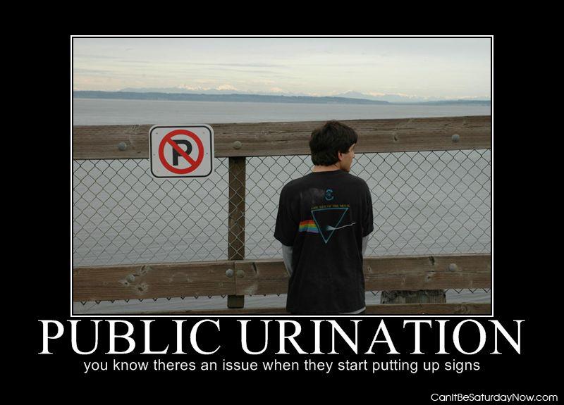No p 2 - No public urination