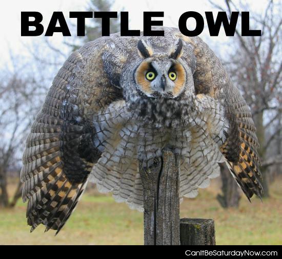 Battle Owl - This Owl is ready to fight