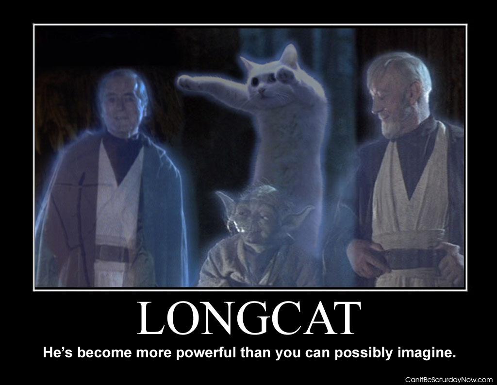Longcat powerful - more powerful than you can imagine