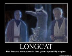 Longcat powerful