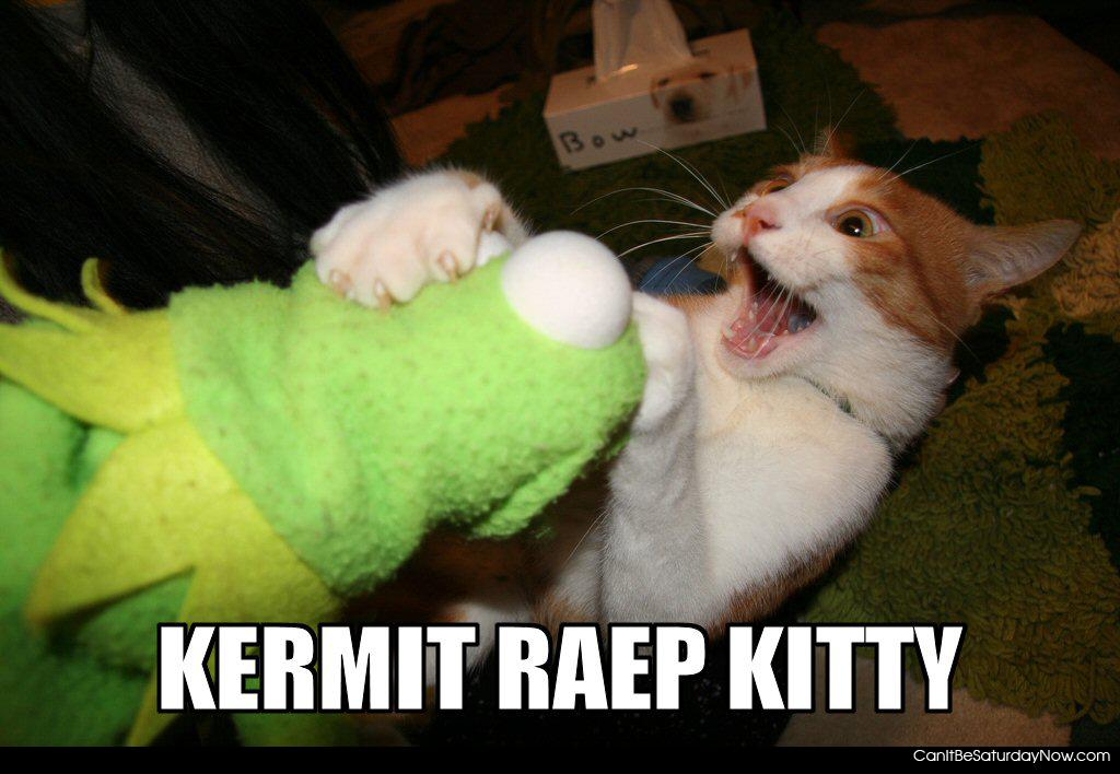 Kitty hate kermit - this kitty hates Kermit the frog