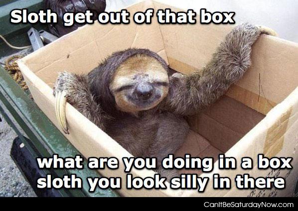 Sloth box - get out of there