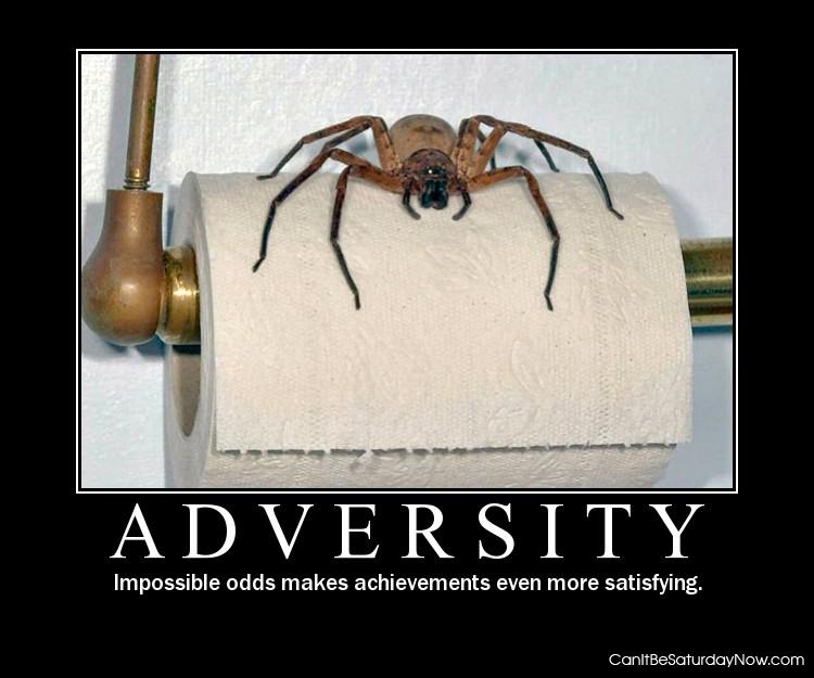 Adversity - nothing is impossible